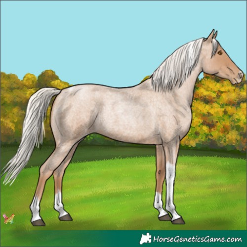 Horse Color:Silver Blue Roan Pearl Tobiano Frame