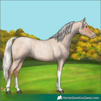 Horse Color:Silver Blue Roan Pearl Tobiano Frame 