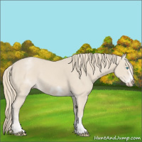 Horse Color:White Spotted Smoky Creme Sabino Frame