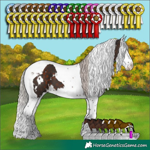 Horse Color:White Spotted Silver Brown Splash Tobiano 