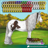 Horse Color:White Spotted Silver Brown Splash Tobiano