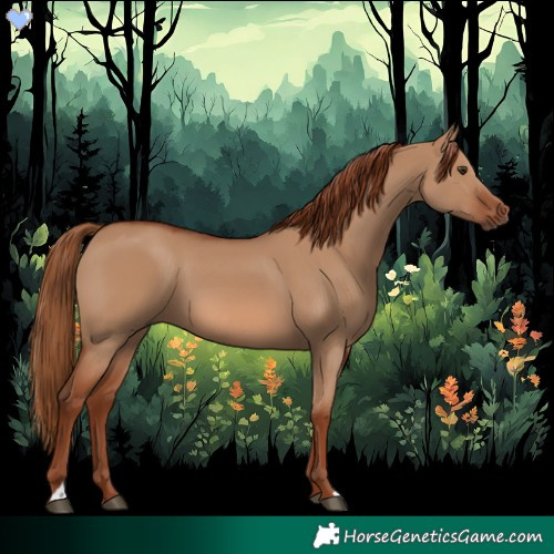 Horse Color:Red Dun