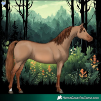 Horse Color:Red Dun 