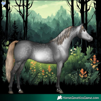 Horse Color:Gray Liver Chestnut