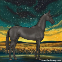 Horse Color:Smoky Black 