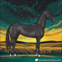 Horse Color:Smoky Black 