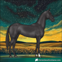 Horse Color:Smoky Black 