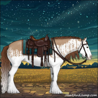 Horse Color:Red Dun Splash  and Red Dun Splash 