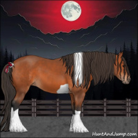 Horse Color:Bay Tobiano 