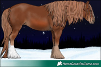 Horse Color:Chestnut 