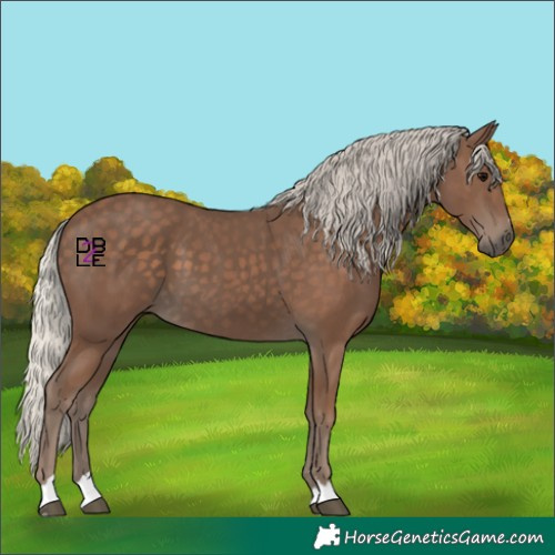 Horse Color:Silver Black 