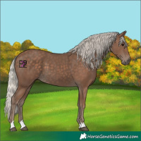 Horse Color:Silver Black 
