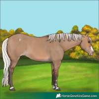 Horse Color:Silver Brown Dun Blanket 