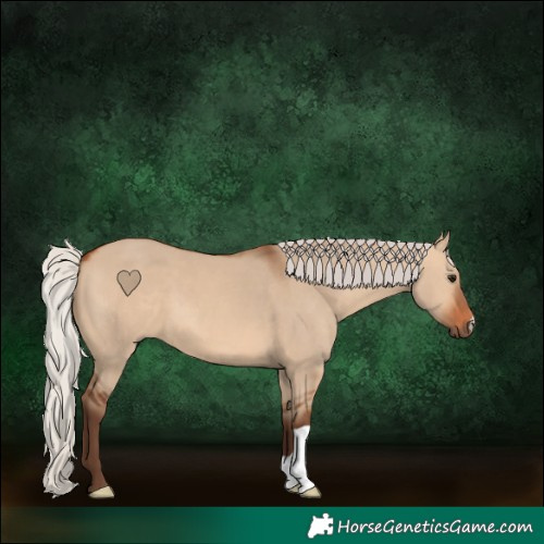 Horse Color:Silver Bay Dun 