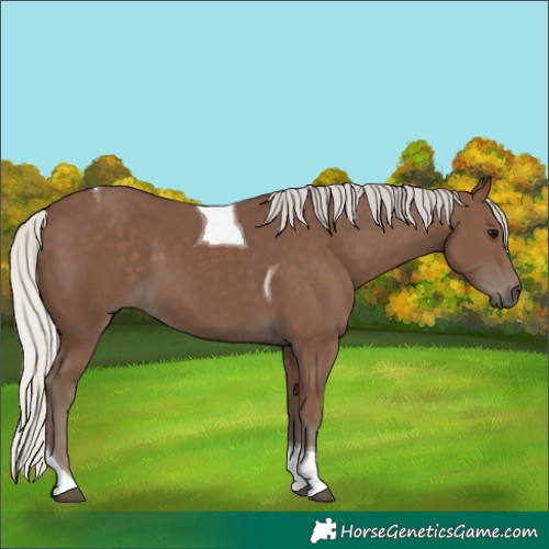 Horse Color:Silver Black Tobiano 