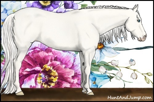 Horse Color:Cremello Dun 