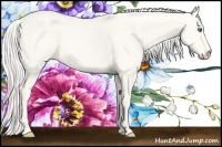 Horse Color:Cremello Dun 