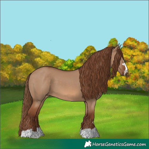 Horse Color:Red Dun 