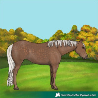 Horse Color:Silver Black 