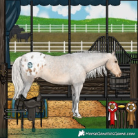 Horse Color:Silver Buckskin Blanket 