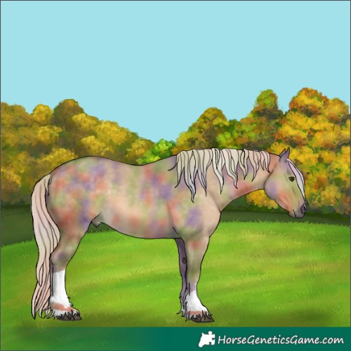 Horse Color:Nacre White Spotted Chocolate Palomino Dun 