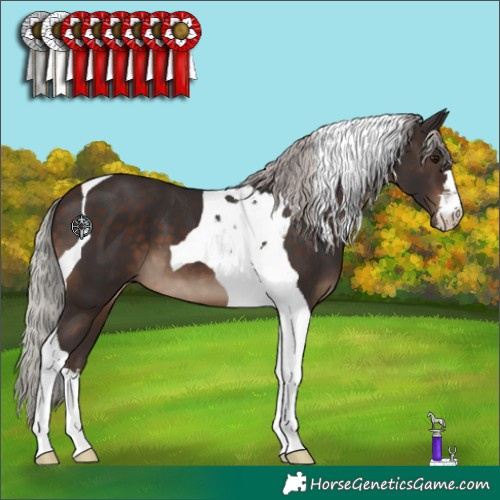 Horse Color:Silver Brown Tobiano 