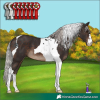 Horse Color:Silver Brown Tobiano 