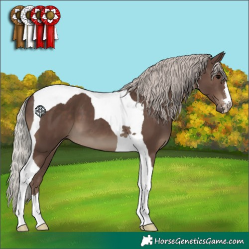 Horse Color:Silver Black Tobiano 