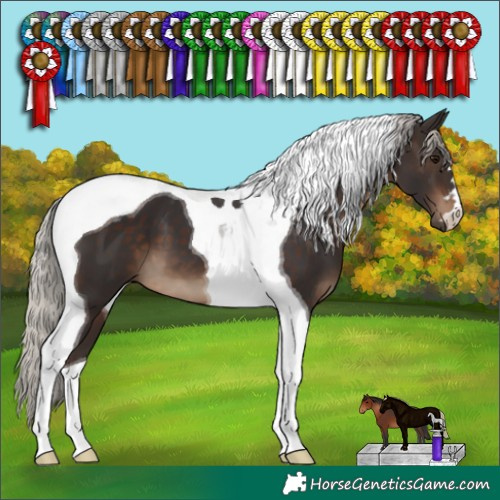 Horse Color:Silver Brown Tobiano 