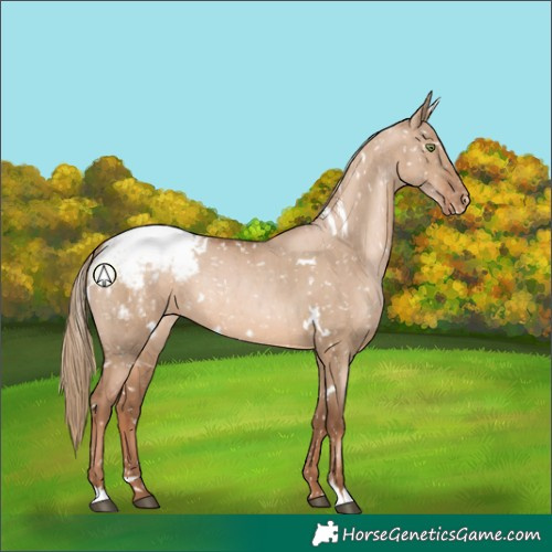 Horse Color:White Spotted Liver Red Dun Pearl Sabino Snowcap Rabicano Brindle