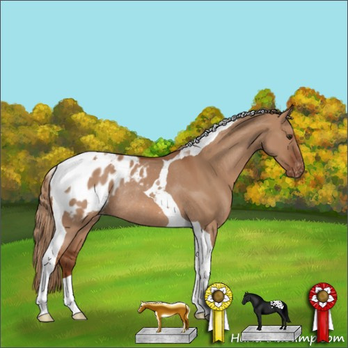 Horse Color:Red Dun Tobiano Blanket Rabicano