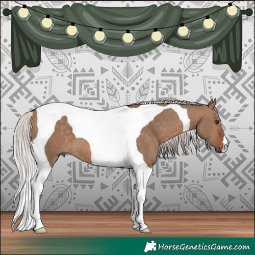 Horse Color:Silver Bay Dun Tobiano 