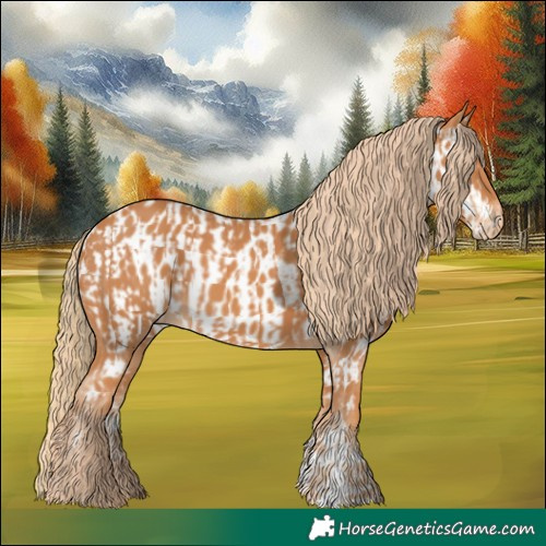 Horse Color:Chestnut  and Chestnut Appaloosa 