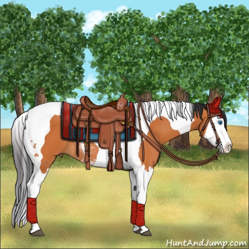 Horse Color:Bay Splash Tobiano