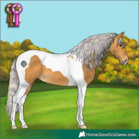Horse Color:Silver Buckskin Tobiano 