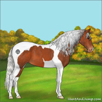 Horse Color:Silver Brown Tobiano Blanket 