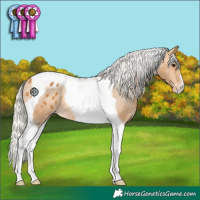 Horse Color:Silver Buckskin Tobiano Blanket 
