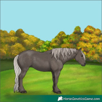 Horse Color:Silver Black 