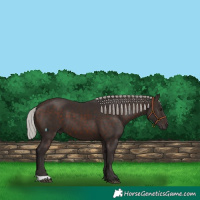 Horse Color:Silver Brown