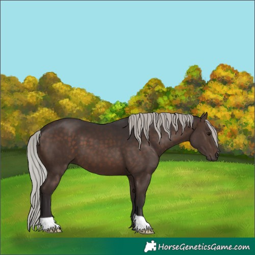 Horse Color:Silver Brown 