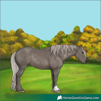 Horse Color:Silver Black 