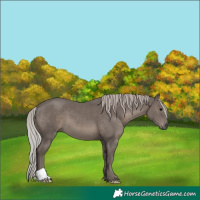 Horse Color:Silver Black 