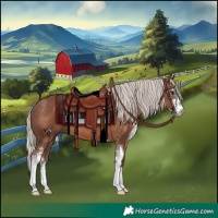 Horse Color:Silver Black Sabino 