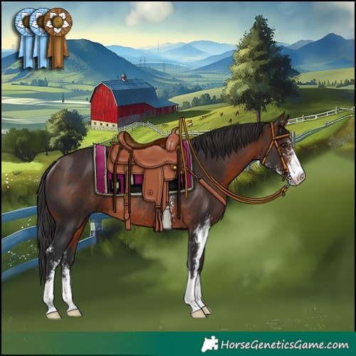 Horse Color:Brown Sabino Rabicano 