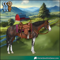 Horse Color:Brown Sabino Rabicano 