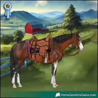 Horse Color:Brown Sabino Rabicano 