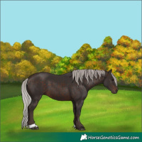 Horse Color:Silver Brown 
