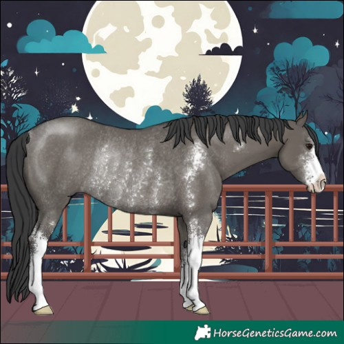 Horse Color:Grullo Sabino Rabicano