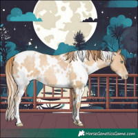 Horse Color:White Spotted Smoky Black Pearl 