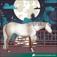 Horse Color:Gray Silver Sable Champagne 
